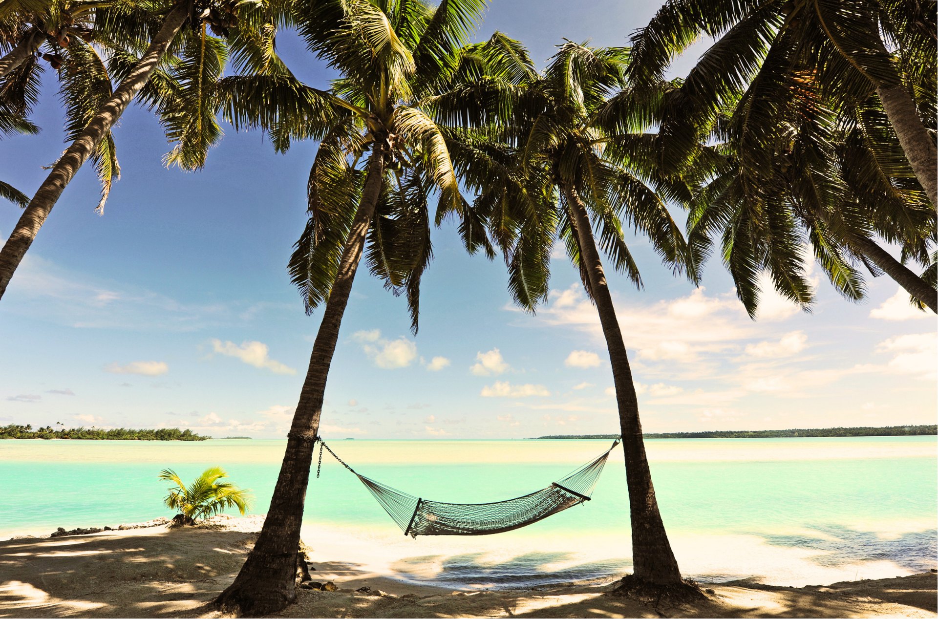 Praia de águas calmas com coqueiros e rede